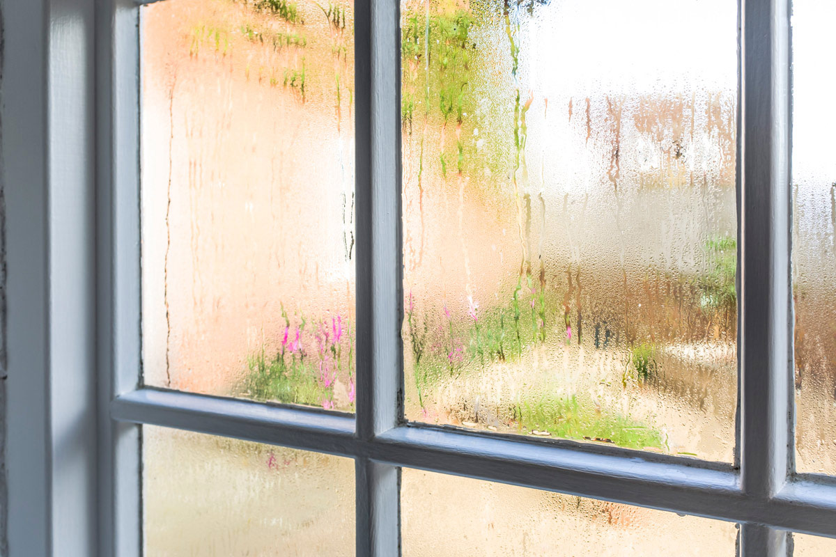 condensation on a window