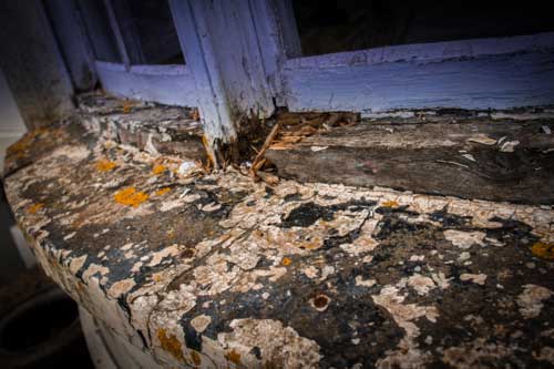 Sash Window Restoration Bedfordshire